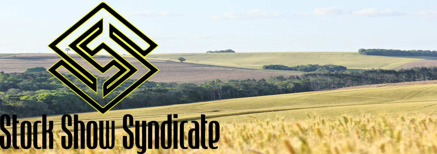 the syndicate project seed